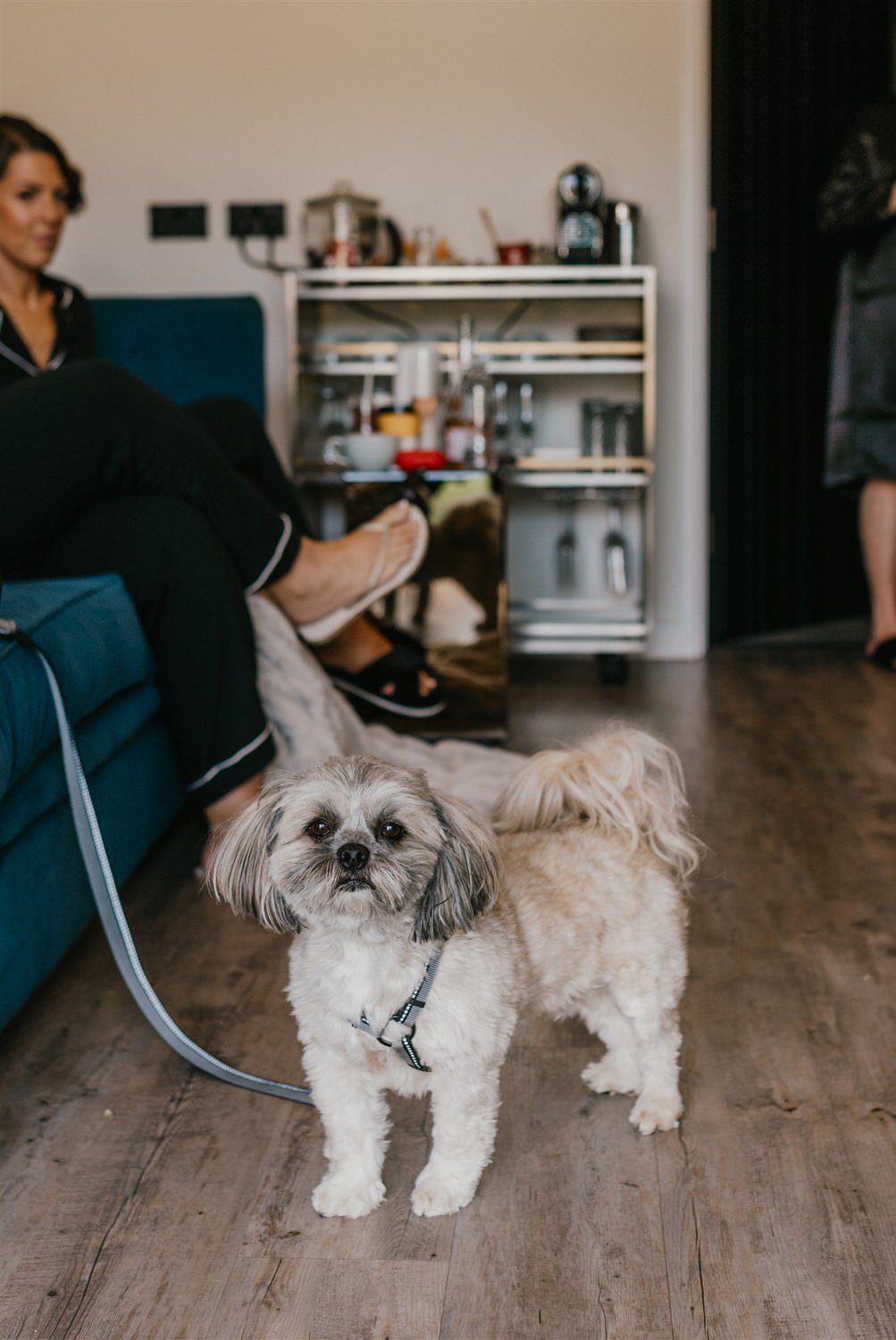 ollie the dog during bridal prep at chapel house estate wedding in kent