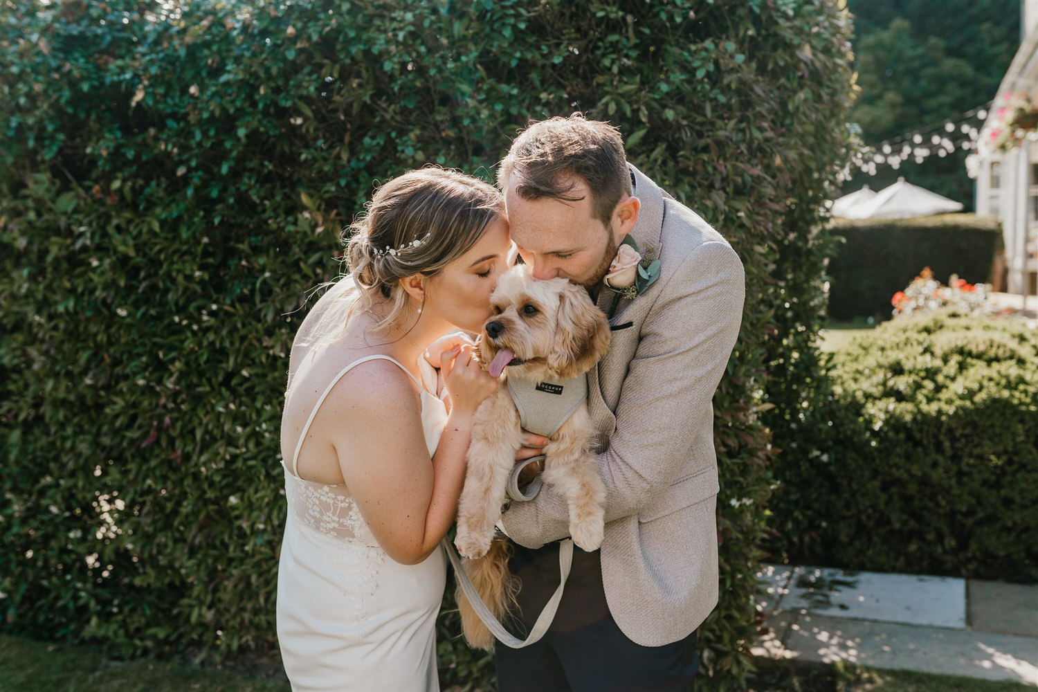bride and groom kiss their dog during portraits at hotel du vin tunbridge wells wedding
