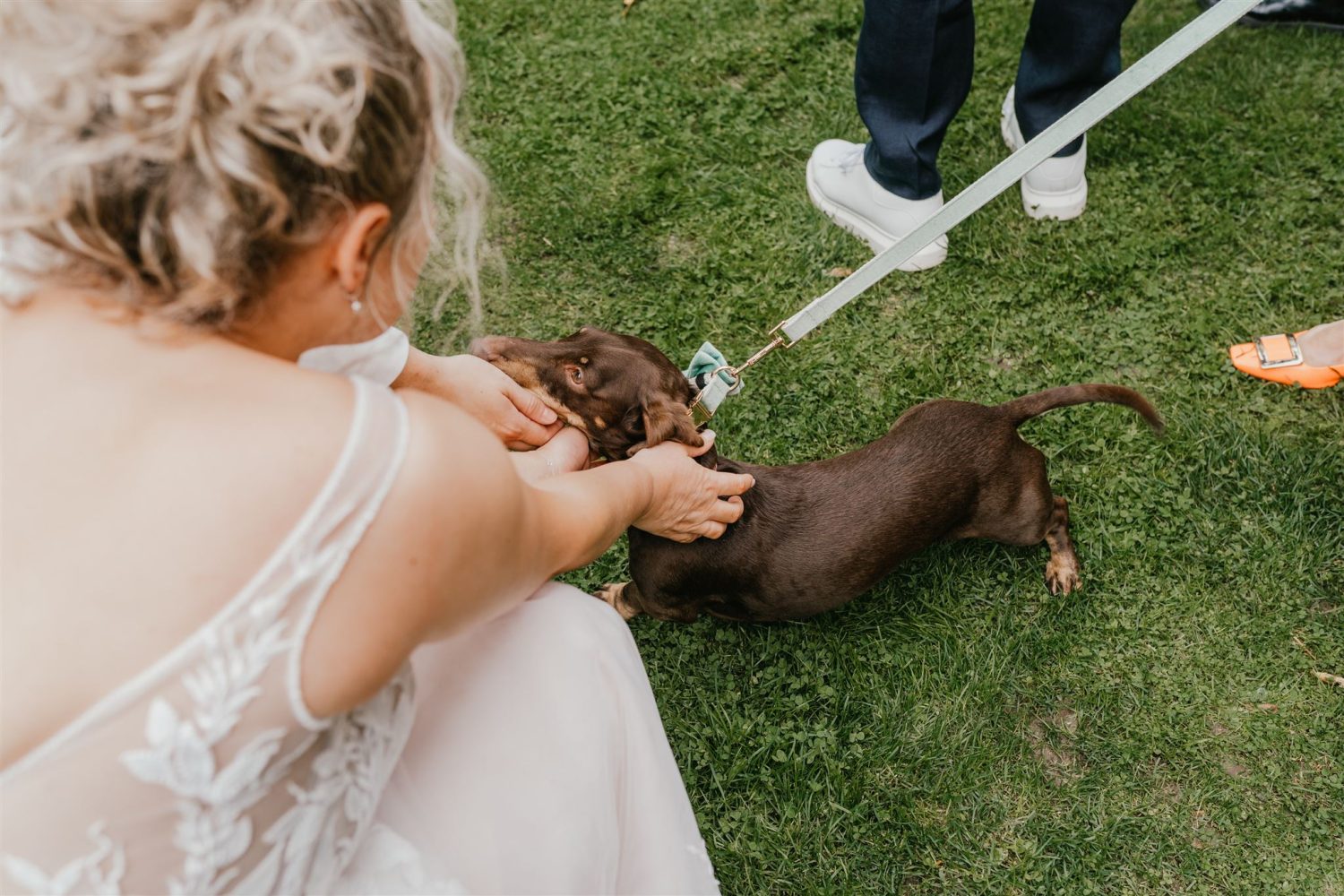 brides seeing their dog during their wedding drinks reception