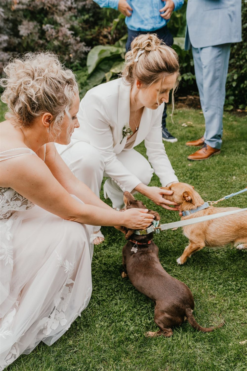 brides seeing their two dogs during their wedding drinks reception