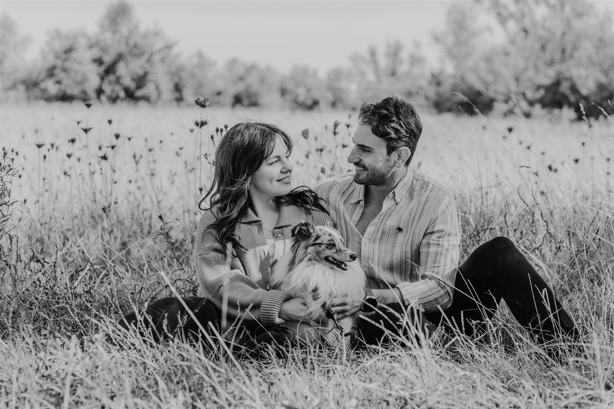 black and white photo of engaged couple sitting in some grass with their dog during kent engagement shoot