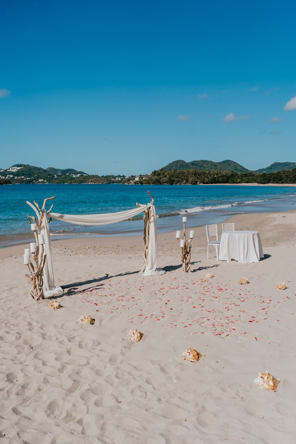 driftwood arch and conch shell aisle at saint lucia beach wedding