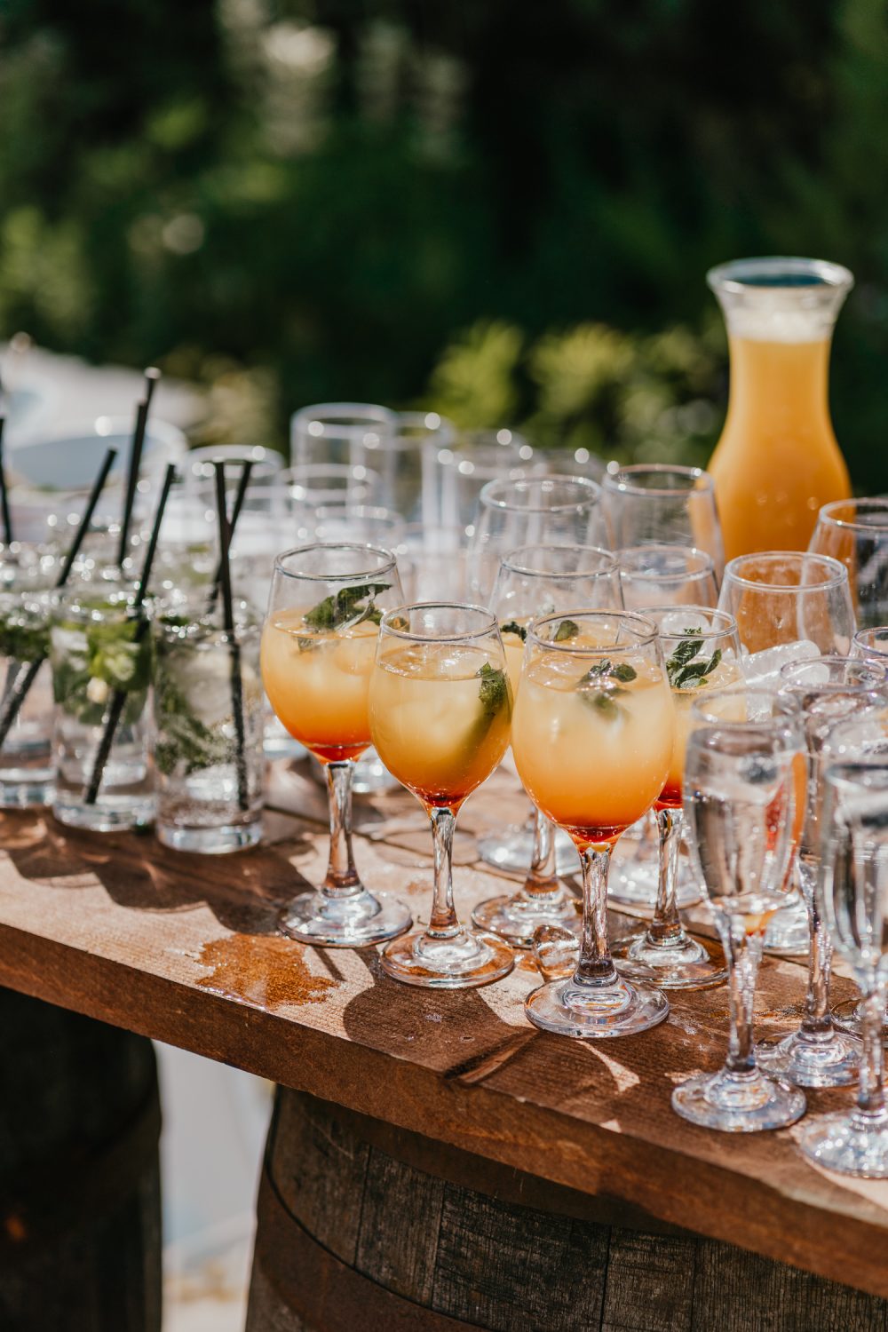 cocktails by laguna catering at northbrook park wedding