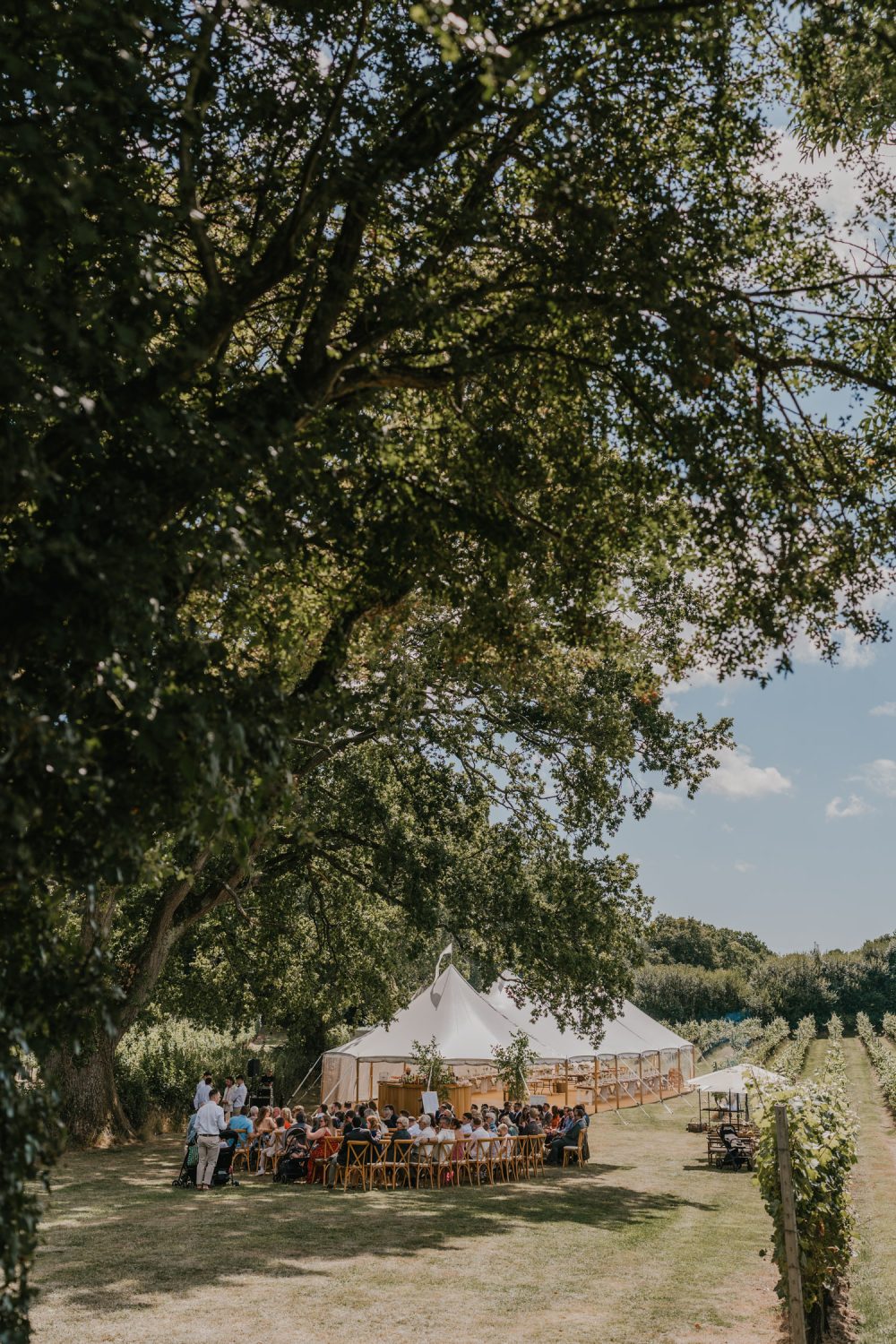 vineyard wedding ceremony at English Oak Vineyard