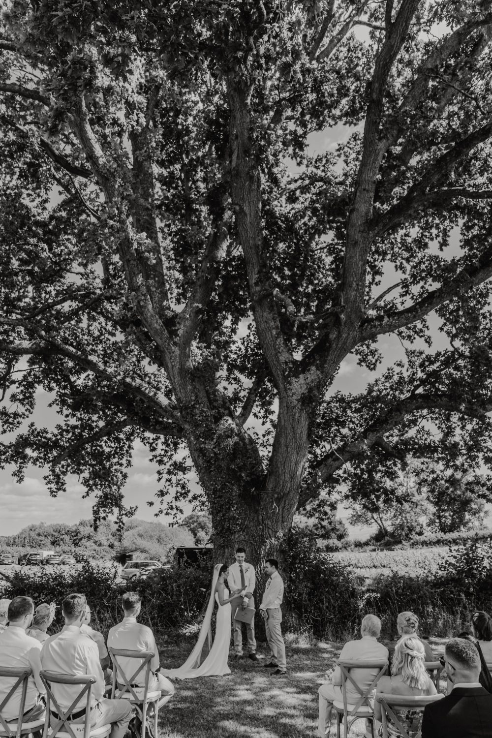 black and white photo of vineyard wedding ceremony at English Oak Vineyard
