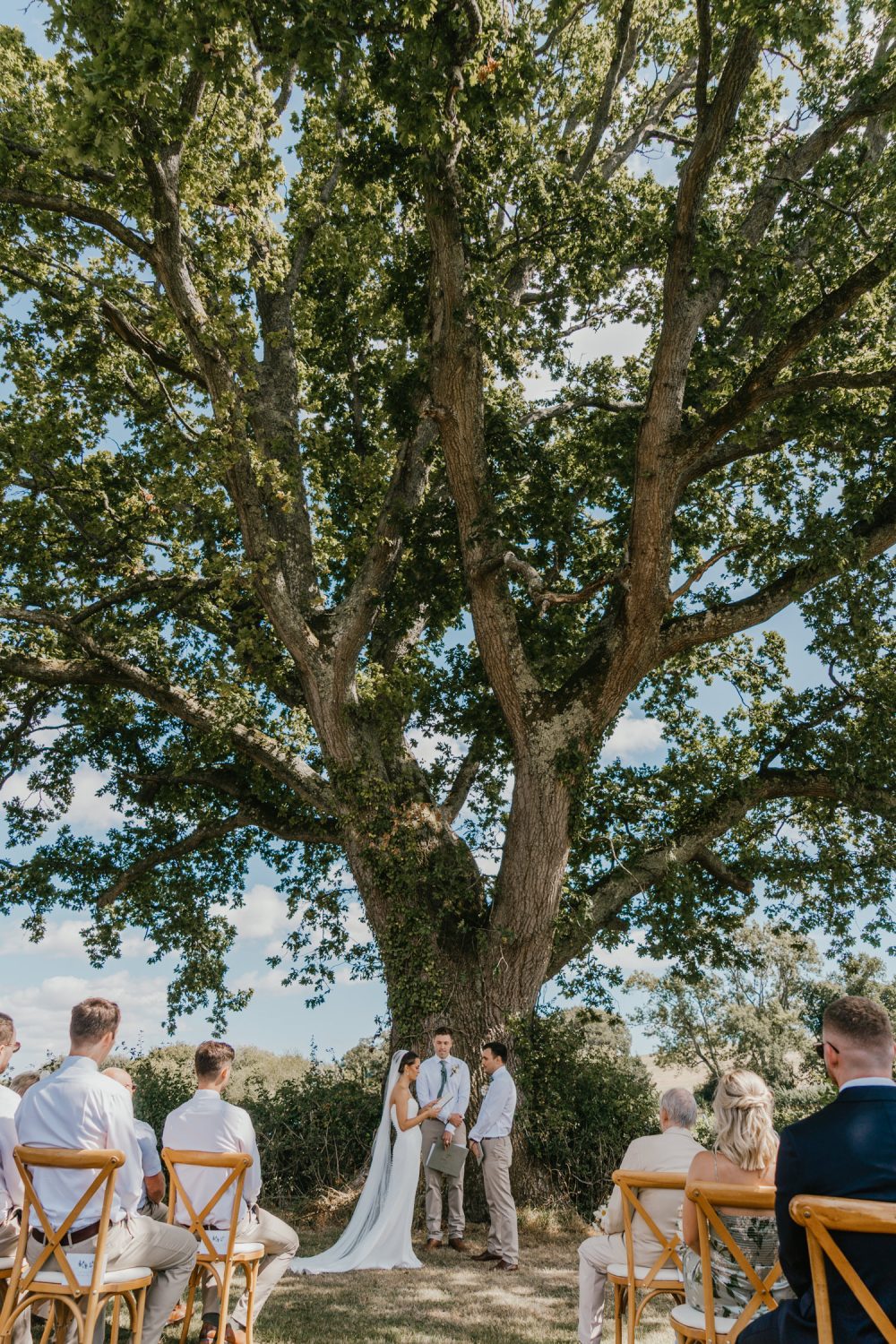 vineyard wedding ceremony at English Oak Vineyard