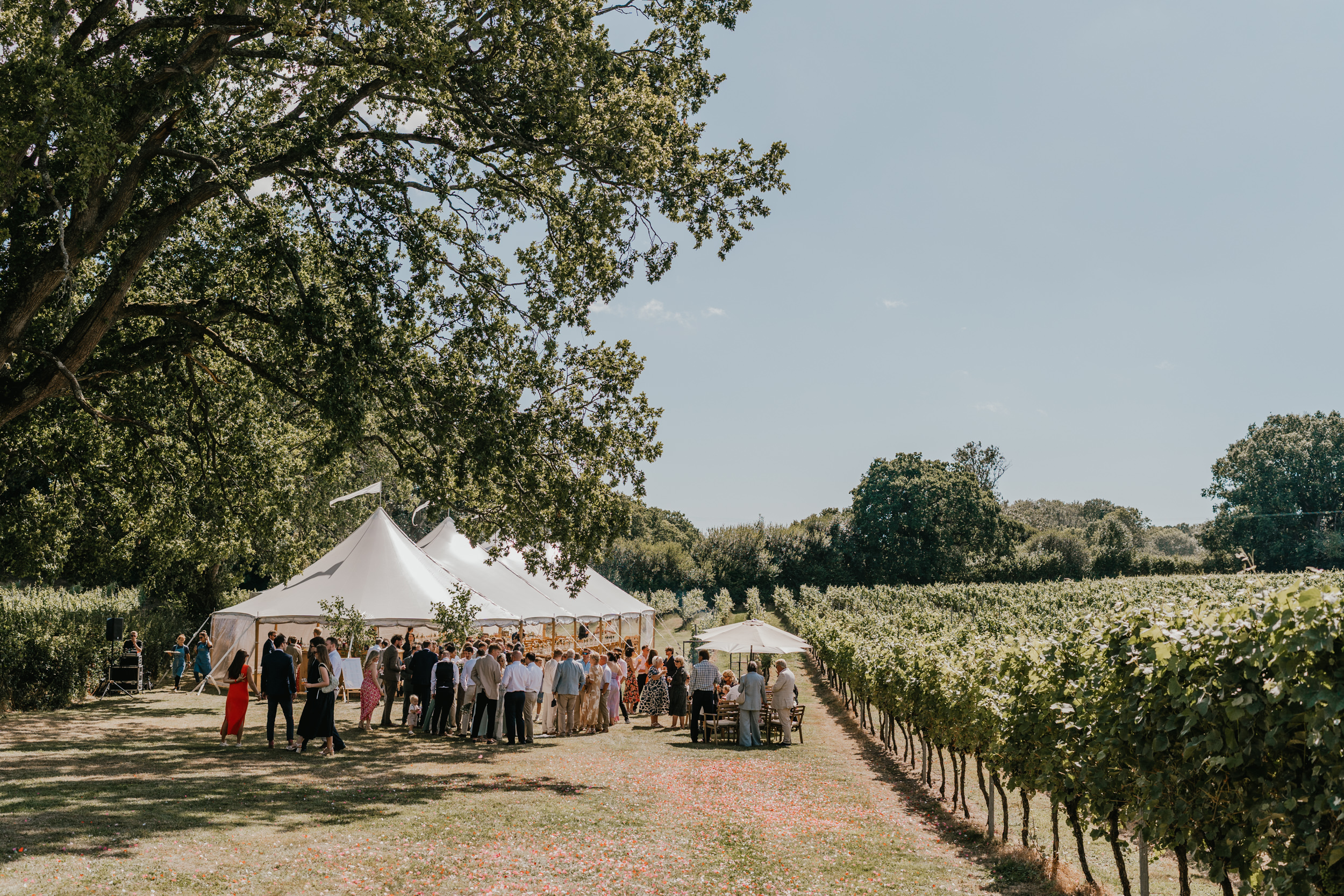 drinks reception at English Oak Vineyard wedding in dorset