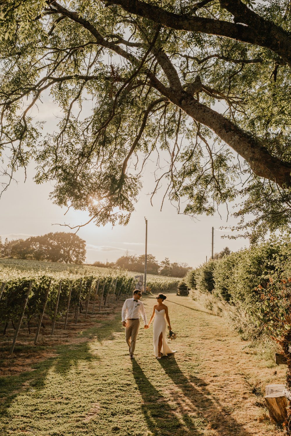 golden hour couple portraits at English Oak Vineyard wedding in dorset