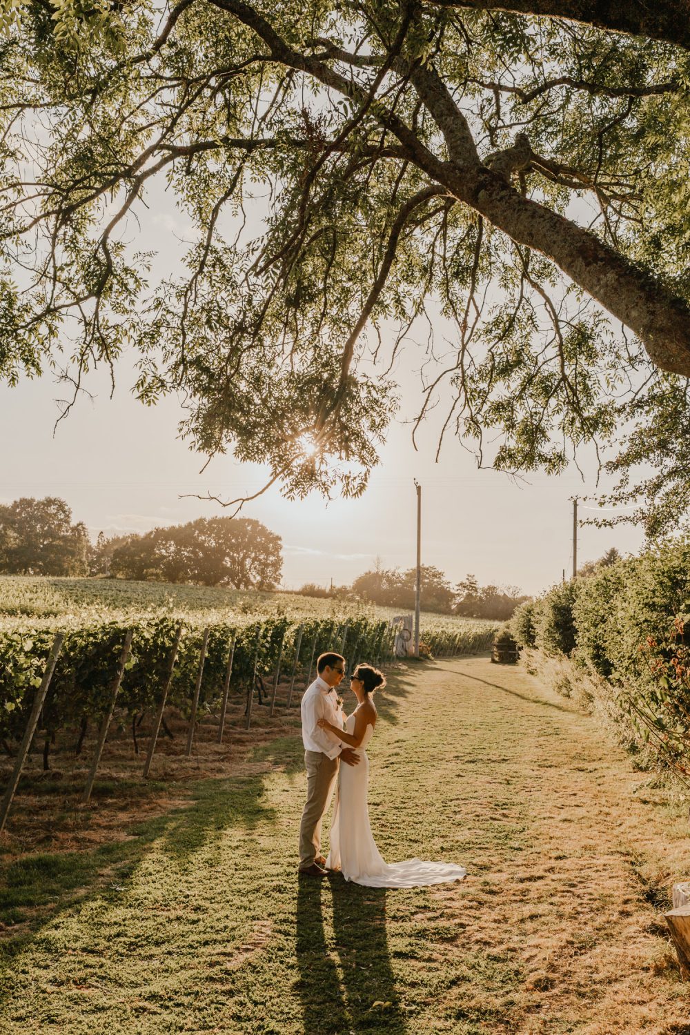 golden hour couple portraits at English Oak Vineyard wedding in dorset